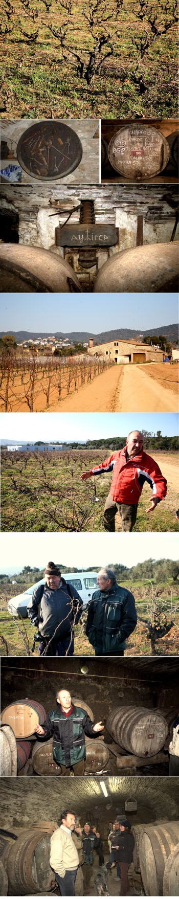 vinos de caloge girona gerona