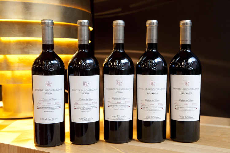 vino-el-picon-cata-vertical