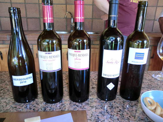 vins tastats
