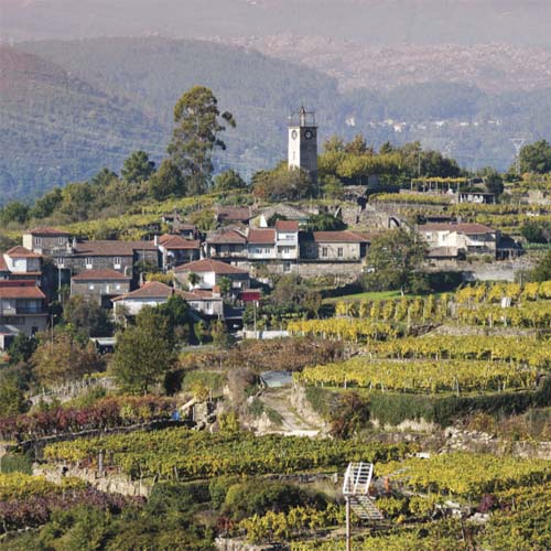 Pequeñas-parcelas-en-arnoia