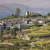Pequeñas-parcelas-en-arnoia_thumb