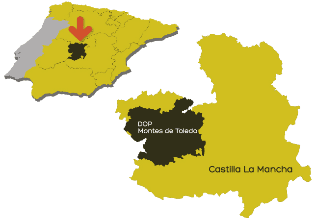 do-aceite-montes-de-toledo