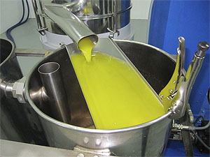 aceite de oliva virgen y virgen extra