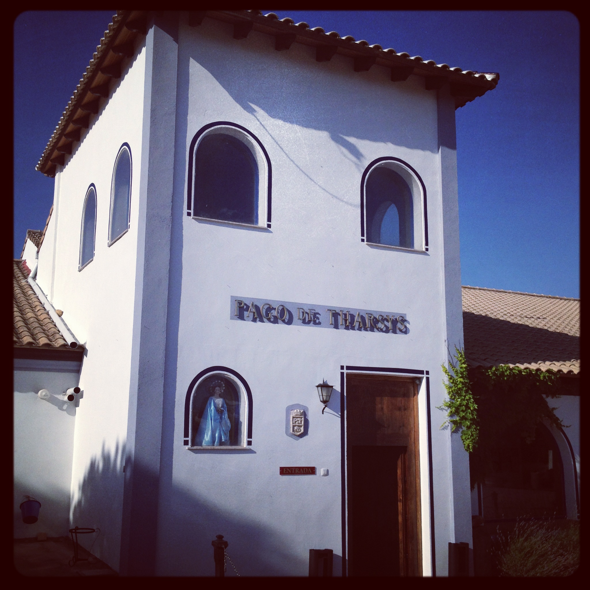 Bodega-Pago-de-tharsys