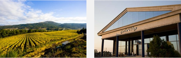 Martin-codax-valle-del-salen