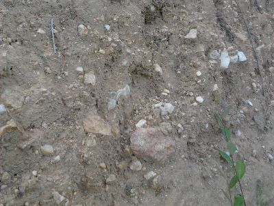 Detalle del terreno en As Furnias