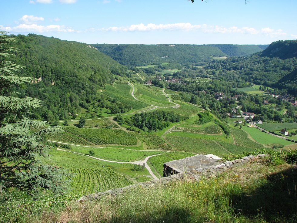 Precioso mosaico del viñedo de Chateau Chalon