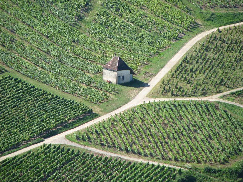 Más Chateau Chalon