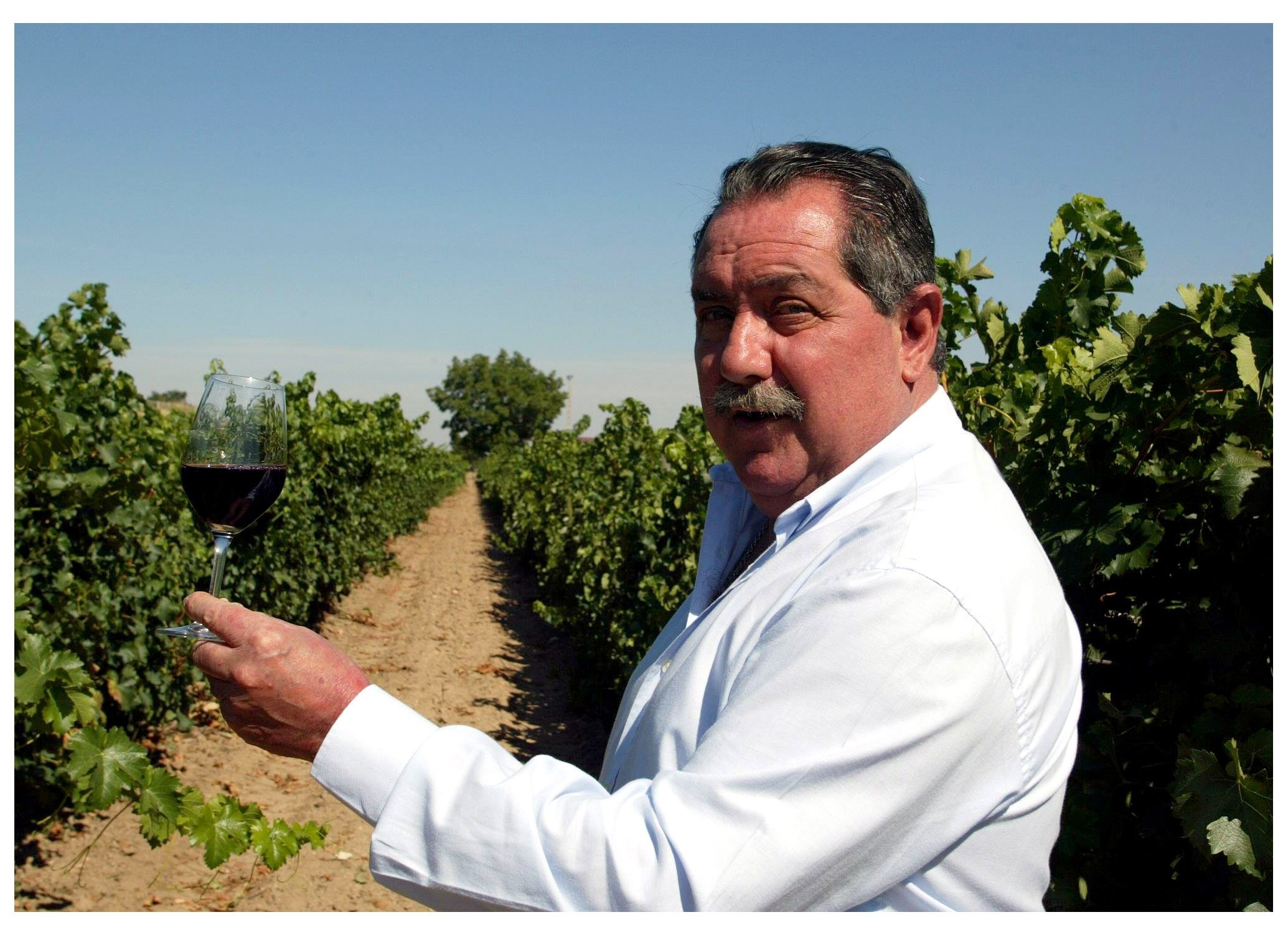 Pascual Herrera CINVE 2012