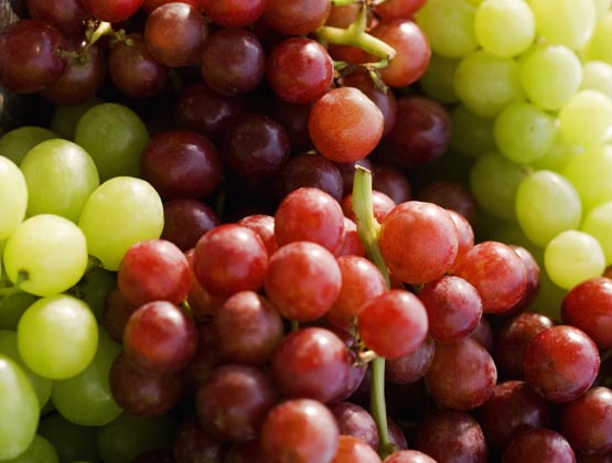 vino ecologico sostenible