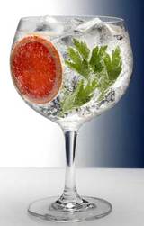 Copa-de-un-gintonic-sofisticado_col