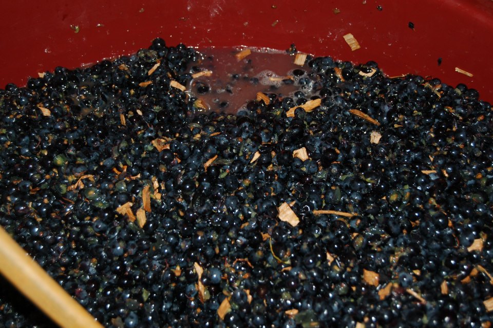 Uvas algo más estrujadas, zumo, chips de roble francés sin tostar...