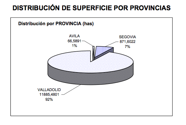 vendimia-vinos-rueda-sauvignon-blanc