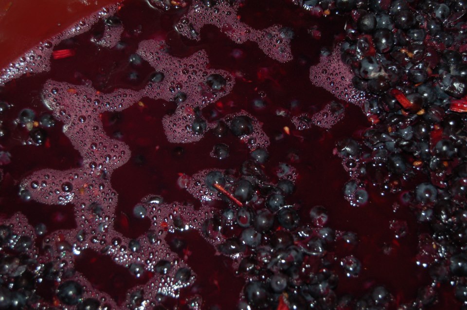 syrah fermentando lentamente, 3 días 