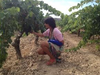 Aula-del-vino-marques-riscal_thumb