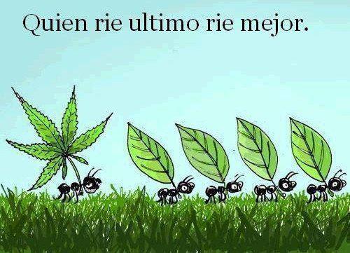 Pues eso digo yo!!!