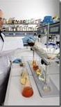 LABORATORIO
