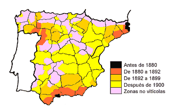 MAPA FILOXERA