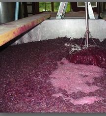 Fermentación del mosto
