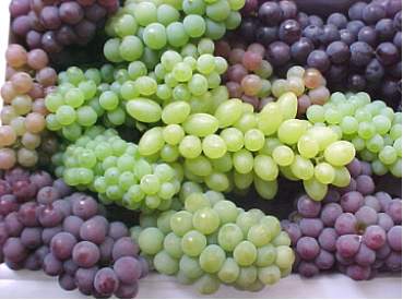 uvas