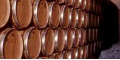 barricas de vino