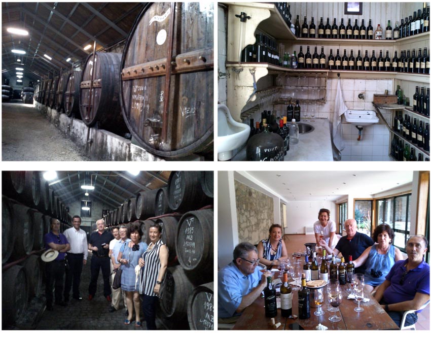 visita-bodega-oporto-niepoort-enoturismo-portugal