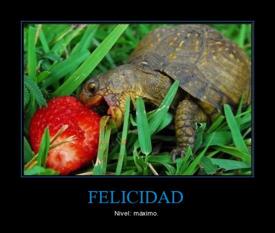 Ñam, ñam!