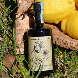 Mirto sardo
