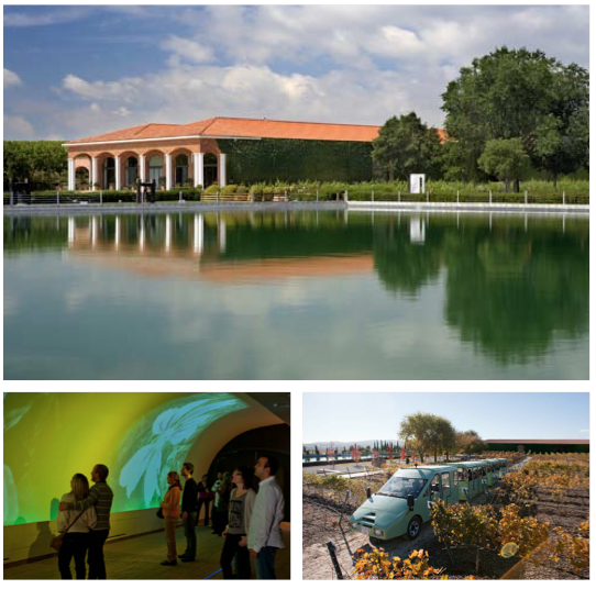 enoturismo-torres-enoturismo-pacs-penedes