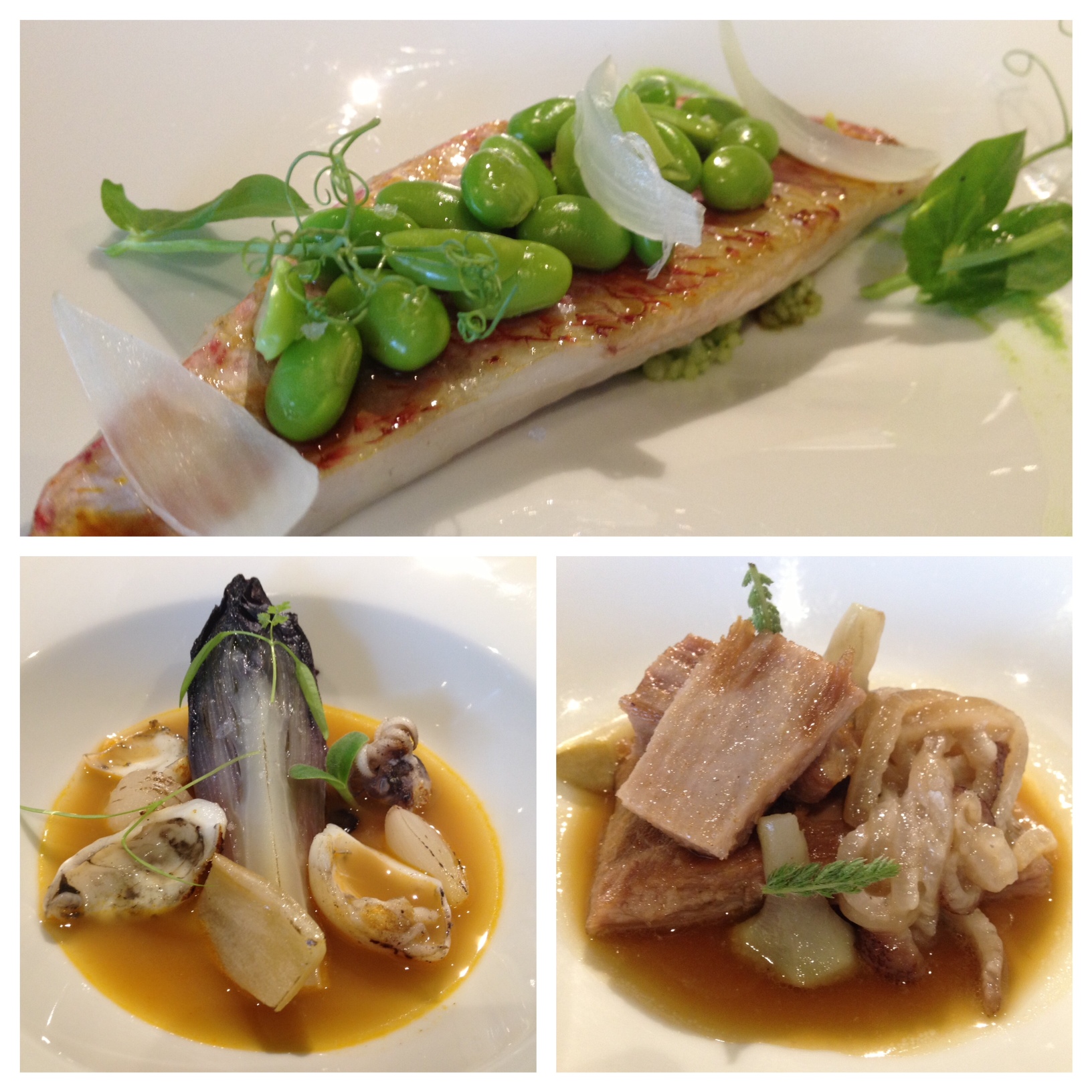 Restaurante La Sucursal Pescado de lonja, Endivia asada con calamar y Secreto ibérico 