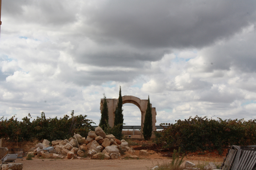 Bodega Liberalia. Arco.