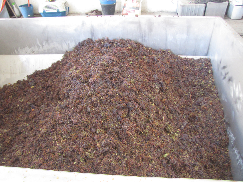 montilla-moriles-bodega-galan-portero