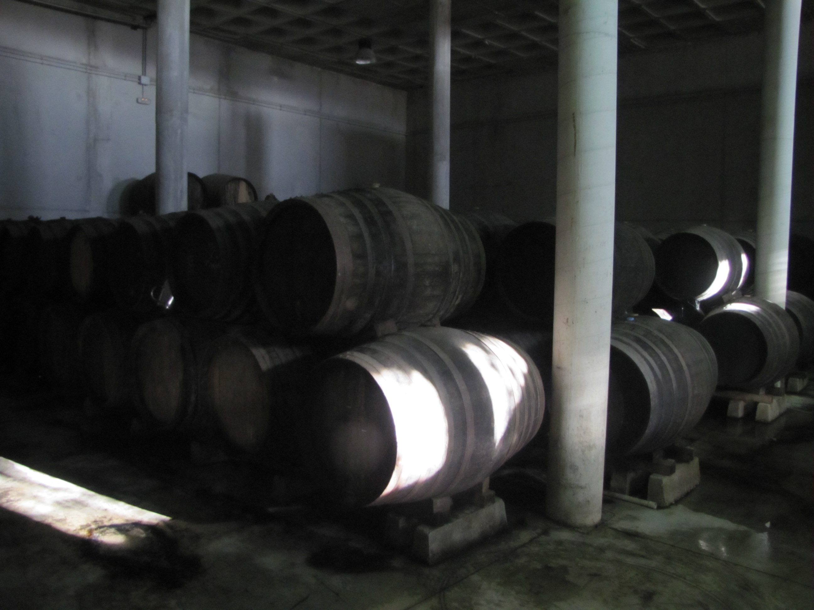 Galan-portero-montilla-moriles