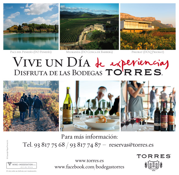Contacto Enoturismos Torres