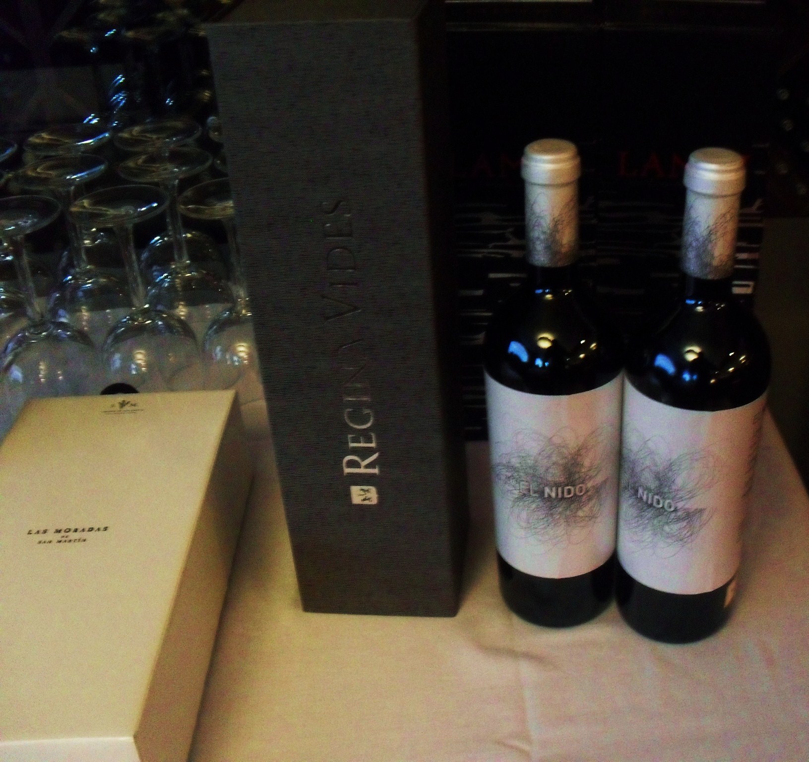 Regina Vides Mágnum y Nidos.