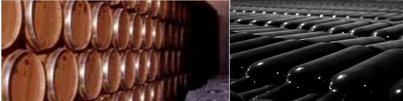Envejecimineto en barrica y botella