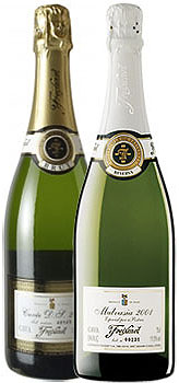 Cavas Freixenet