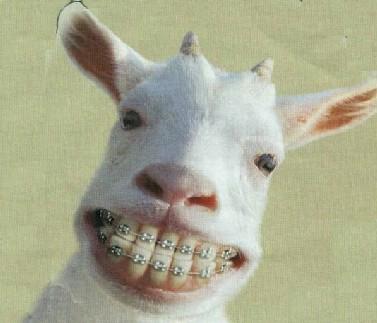 :-D