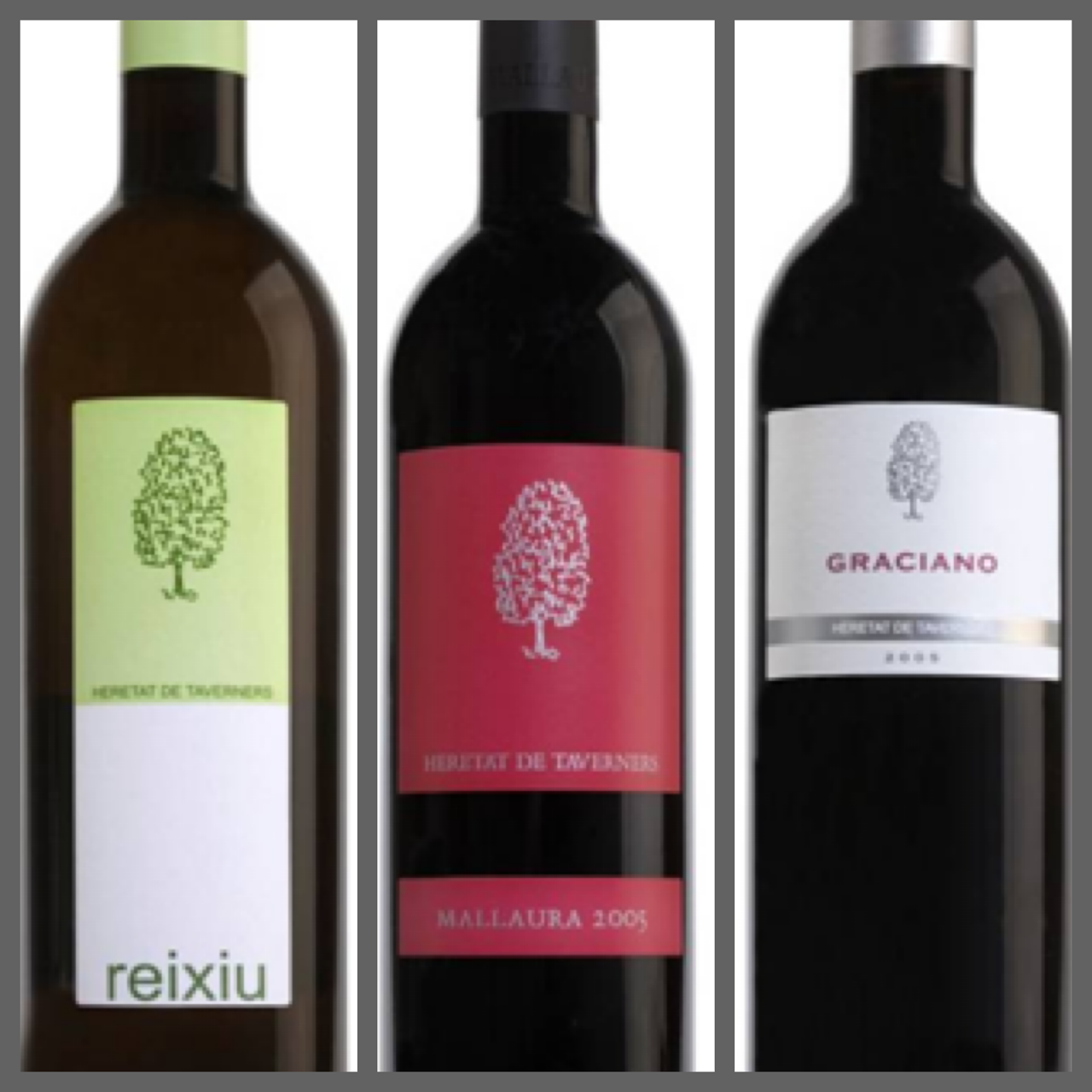 heretat-cesilia-mallaura-graciano-reixiu