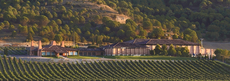 Bodegas Viña Mayor