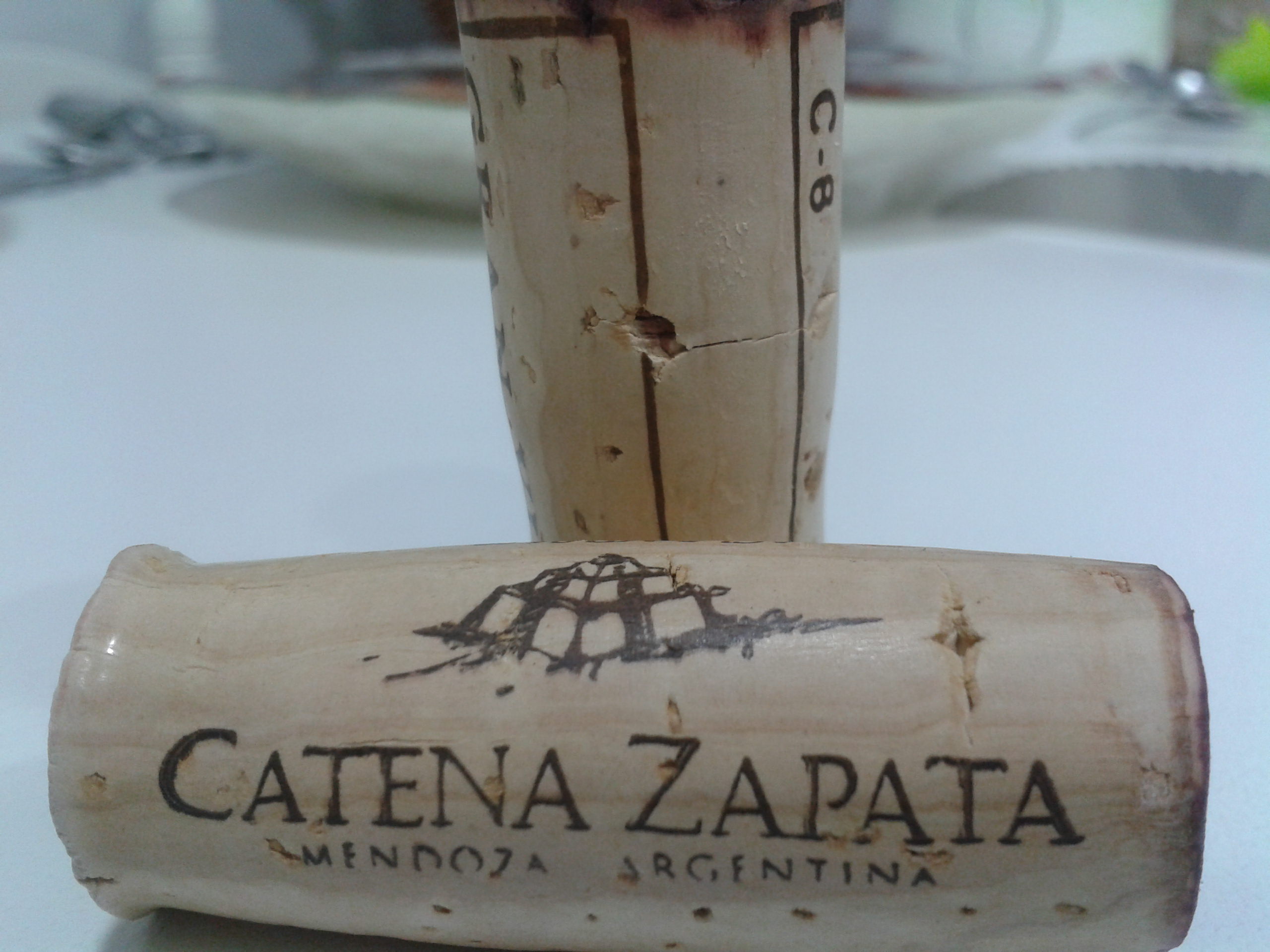 Catena zapata malbec argentino 06