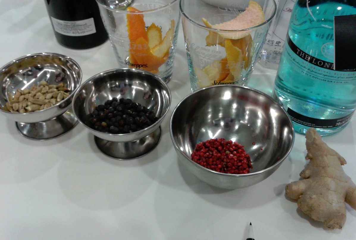 Botánicos en el Taller de Schweppes del 12º Encuentro Verema