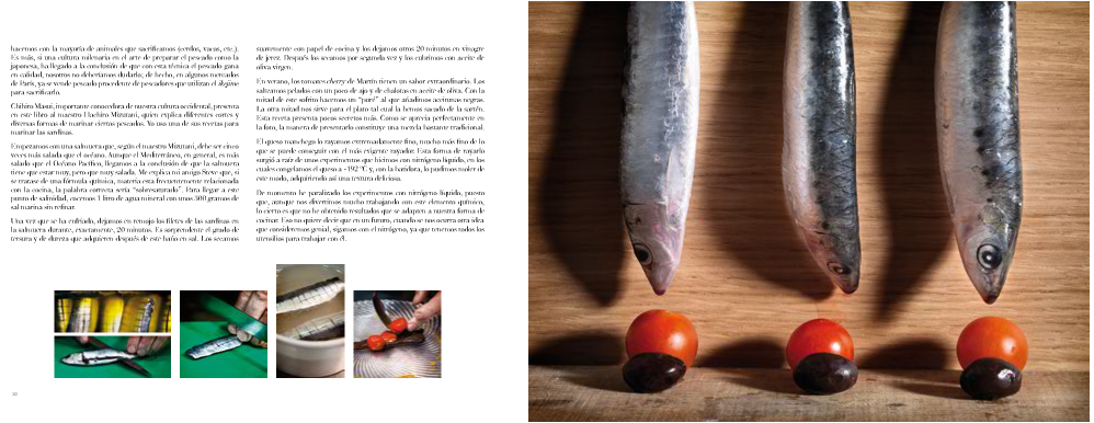 anima mediterrania bernd knoller