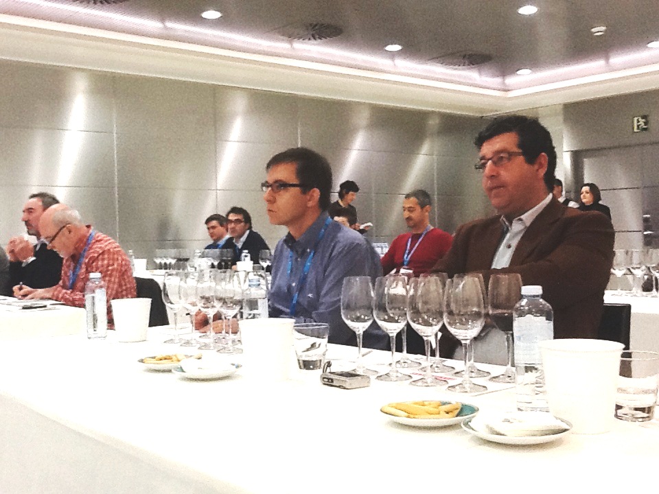 Cata_histórica_Quincha_Corral_12_Encuentro_Verema_asistentes