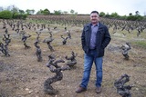 Pago-valdoneje-marcos-garcia-alba-vinos-valtuille-bierzo-mencia_col