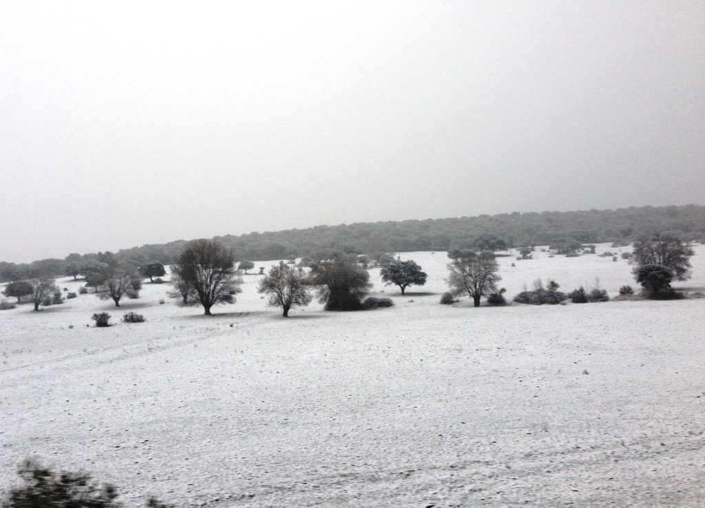 Visita_Sofros_Quinta_Esencia_Nevada_