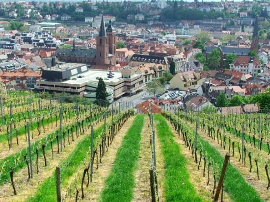 Neustadt an der Weinstrasse
