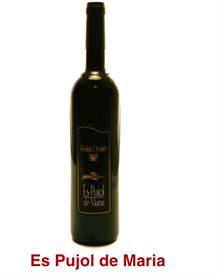 Es pujol de Maria de Galmés i Ferrer