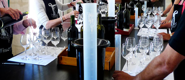 taller coupage SingularWINE