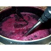 Elaboración-vino-bernal-garcía-chicote_thumb